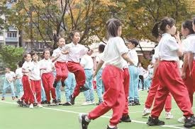 麻将基础认知速通（麻将基础快速入门）